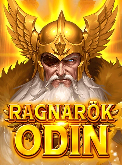 365mmr